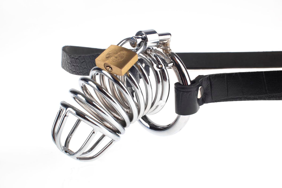 FETISH FANTASY EXTREME CHASTITY BELT - PD366923