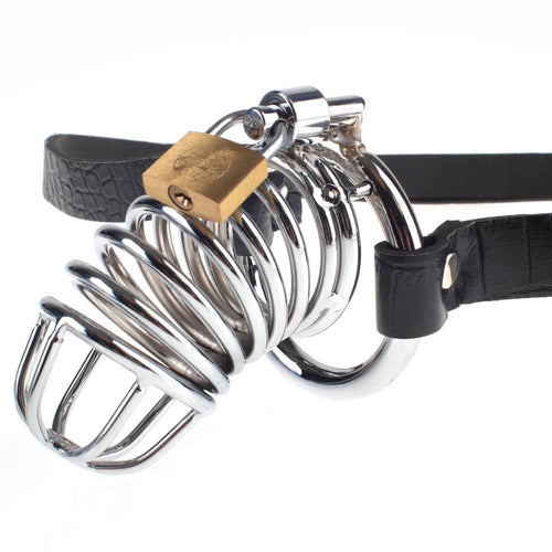 FETISH FANTASY EXTREME CHASTITY BELT - PD366923