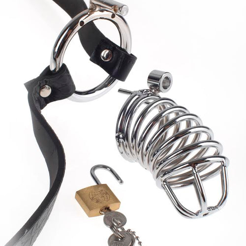 FETISH FANTASY EXTREME CHASTITY BELT - PD366923