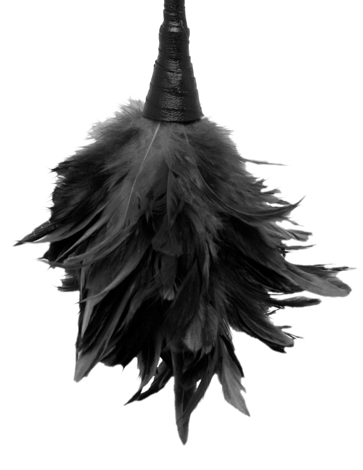 FETISH FANTASY FRISKY FEATHER DUSTER BLACK - PD375623