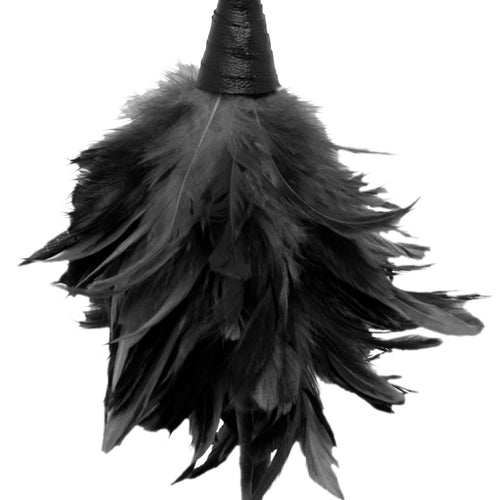 FETISH FANTASY FRISKY FEATHER DUSTER BLACK - PD375623