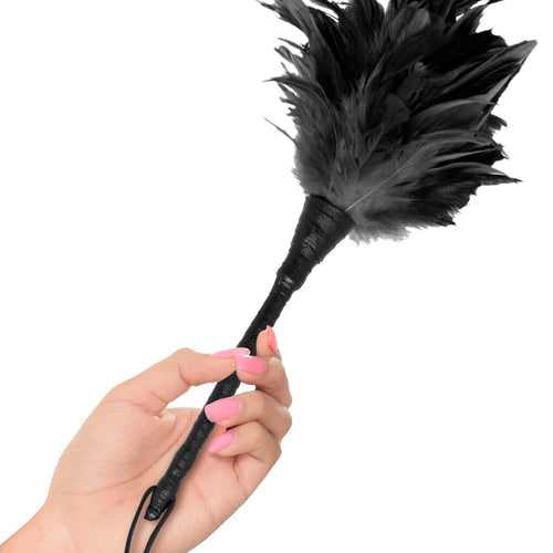 FETISH FANTASY FRISKY FEATHER DUSTER BLACK - PD375623