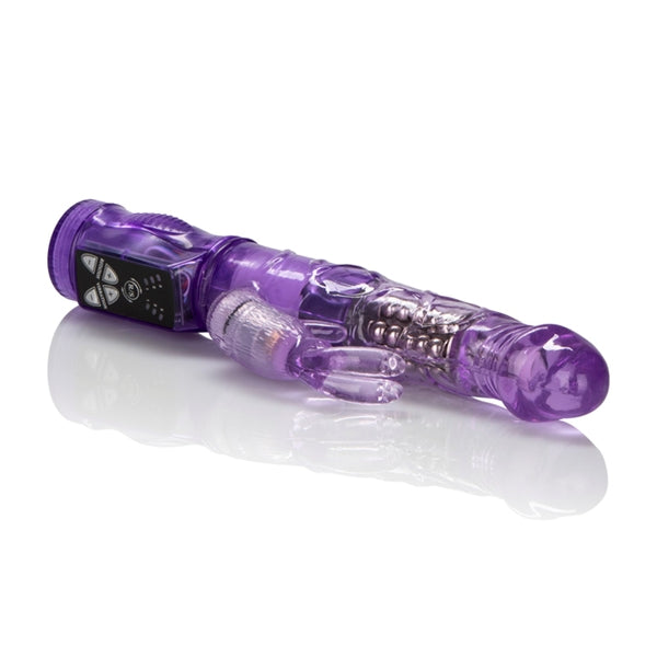 PETITE JACK RABBIT PURPLE - SE061040