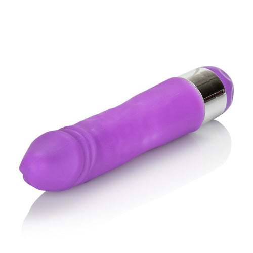 SHANES WORLD SILICONE BUDDY PURPLE VIBRATOR - SE072305