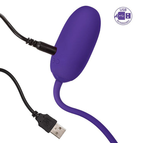 RECHARGEABLE KEGEL BALL STARTER PURPLE - SE132805
