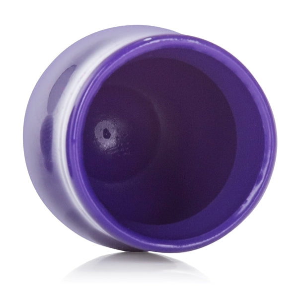 NIPPLE PLAY MINI NIPPLE SUCKERS PURPLE - SE264425