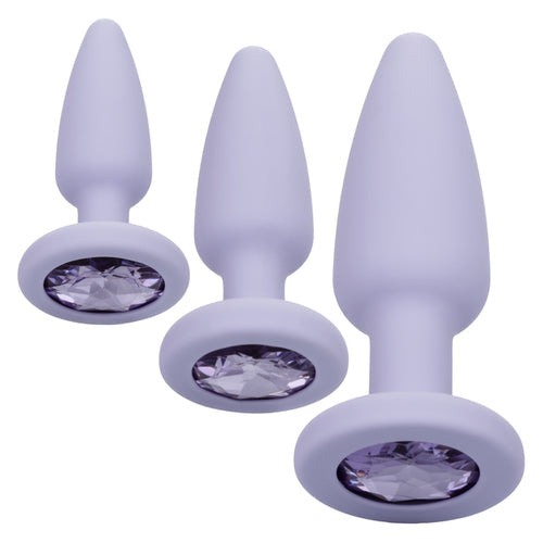 FIRST TIME CRYSTAL BOOTY KIT PURPLE - SE000440