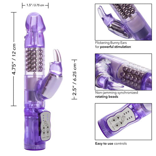 JACK RABBIT PURPLE W/P - SE061080