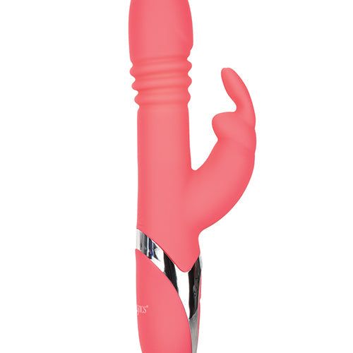 ENCHANTED EXCITER - SE064920