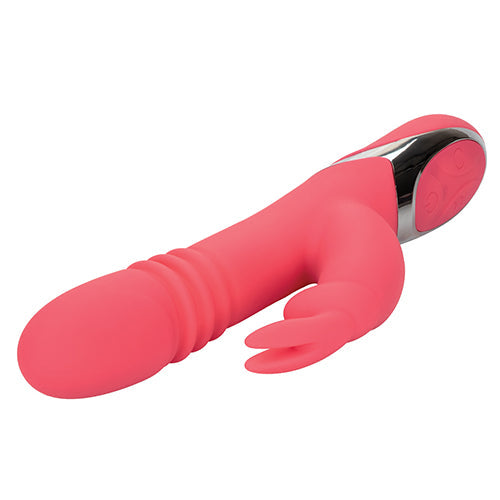 ENCHANTED EXCITER - SE064920