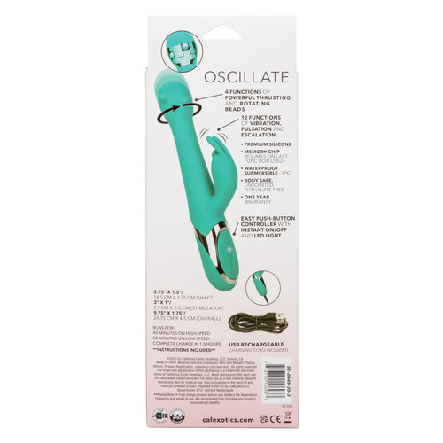 ENCHANTED OSCILLATE - SE064935