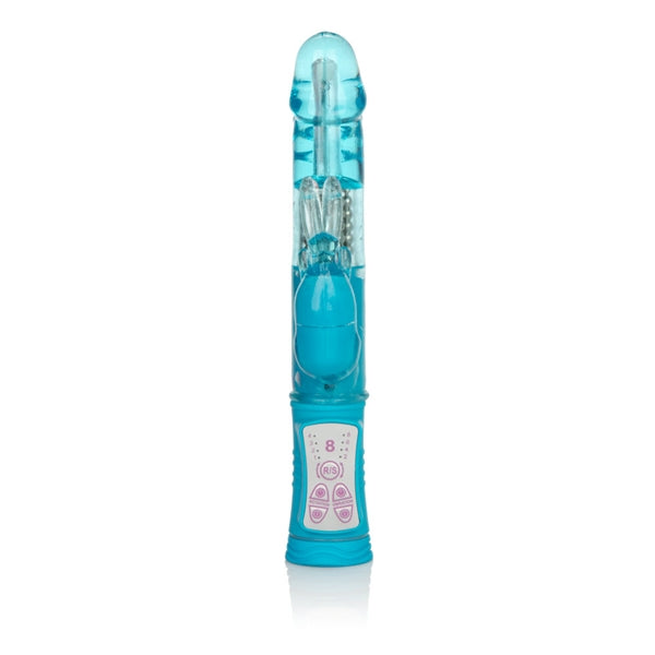 SHANES WORLD JACK RABBIT BLUE - SE068515