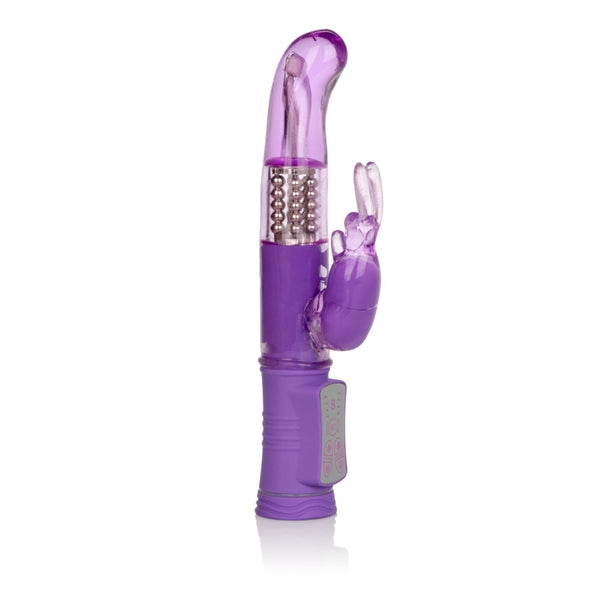 SHANES WORLD JACK RABBIT G" PURPLE " - SE068525