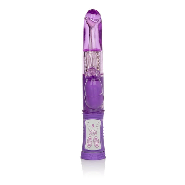 SHANES WORLD JACK RABBIT G" PURPLE " - SE068525