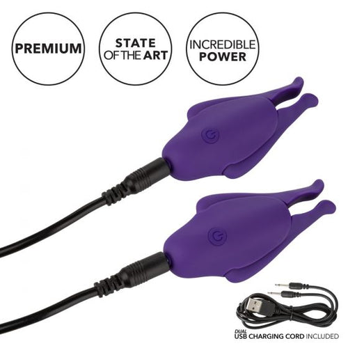 NIPPLE PLAY RECHARGEABLE NIPPLETTES PURPLE - SE258955