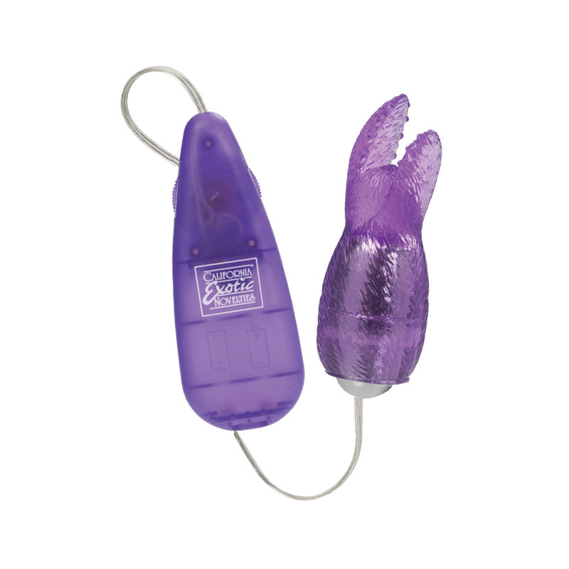 HI INTENSITY SNOW BUNNY PURPLE - SE116314