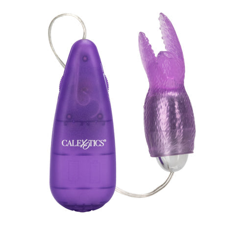 HI INTENSITY SNOW BUNNY PURPLE - SE116314