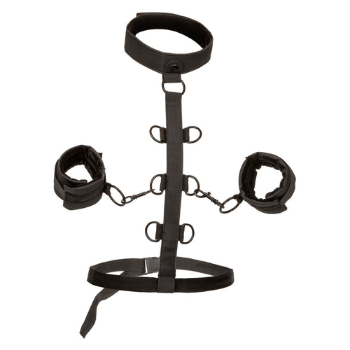 BOUNDLESS COLLAR RESTRAINT - SE270281