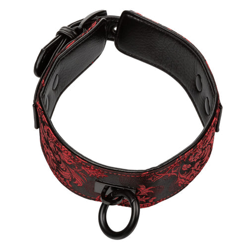 SCANDAL COLLAR WITH LEASH - SE271250