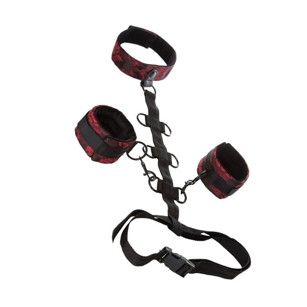 SCANDAL COLLAR BODY RESTRAINTS - SE271273