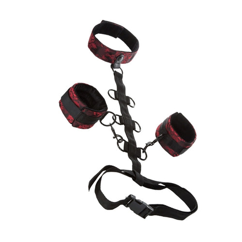SCANDAL COLLAR BODY RESTRAINTS - SE271273