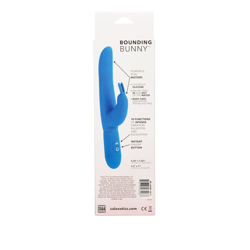 POSH 10 FUNCTION BOUNDING BUNNY BLUE - SE454010
