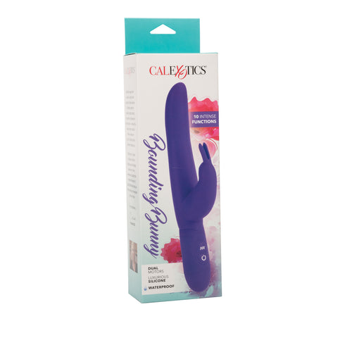 POSH 10 FUNCTION BOUNDING BUNNY PURPLE - SE454025