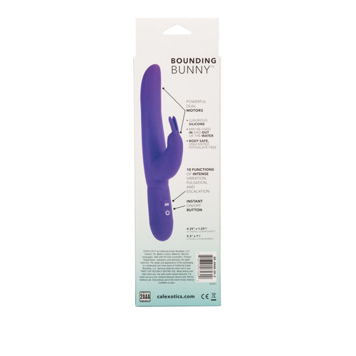POSH 10 FUNCTION BOUNDING BUNNY PURPLE - SE454025