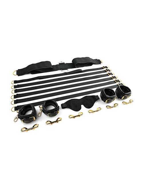 SPECIAL EDITION UNDER THE BED RESTRAINT SYSTEM - SS02101
