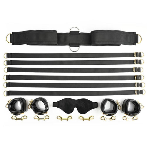 SPECIAL EDITION UNDER THE BED RESTRAINT SYSTEM - SS02101