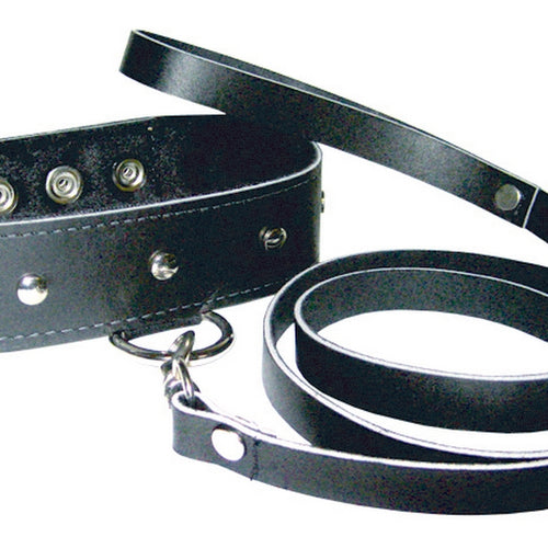 PREMIUM LEATHER LEASH & COLLAR - SS43202