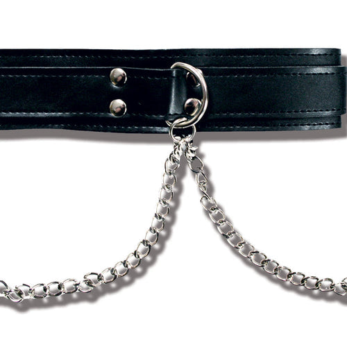 PREMIUM COLLAR W/ NIPPLE CLAMP - SS44520