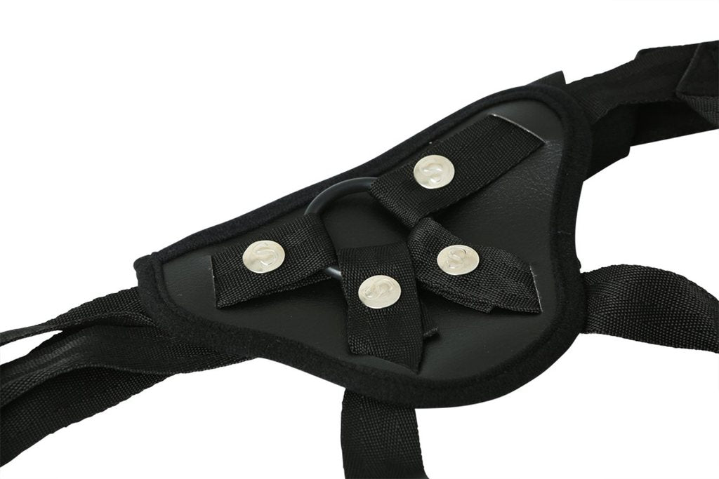 SS ENTRY LEVEL HARNESS BLACK - SS69003