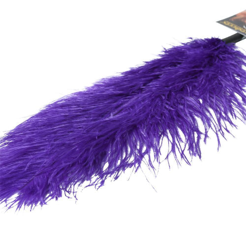 OSTRICH FEATHER PURPLE - SS70002