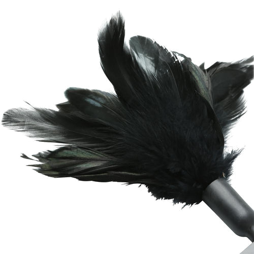 STARBURST FEATHER BLACK - SS72001