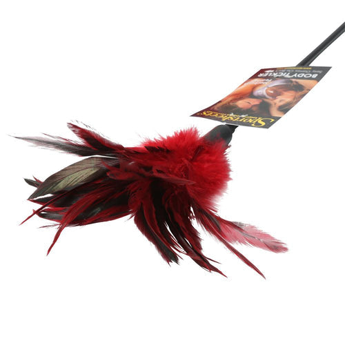 STARBURST FEATHER RED - SS72003
