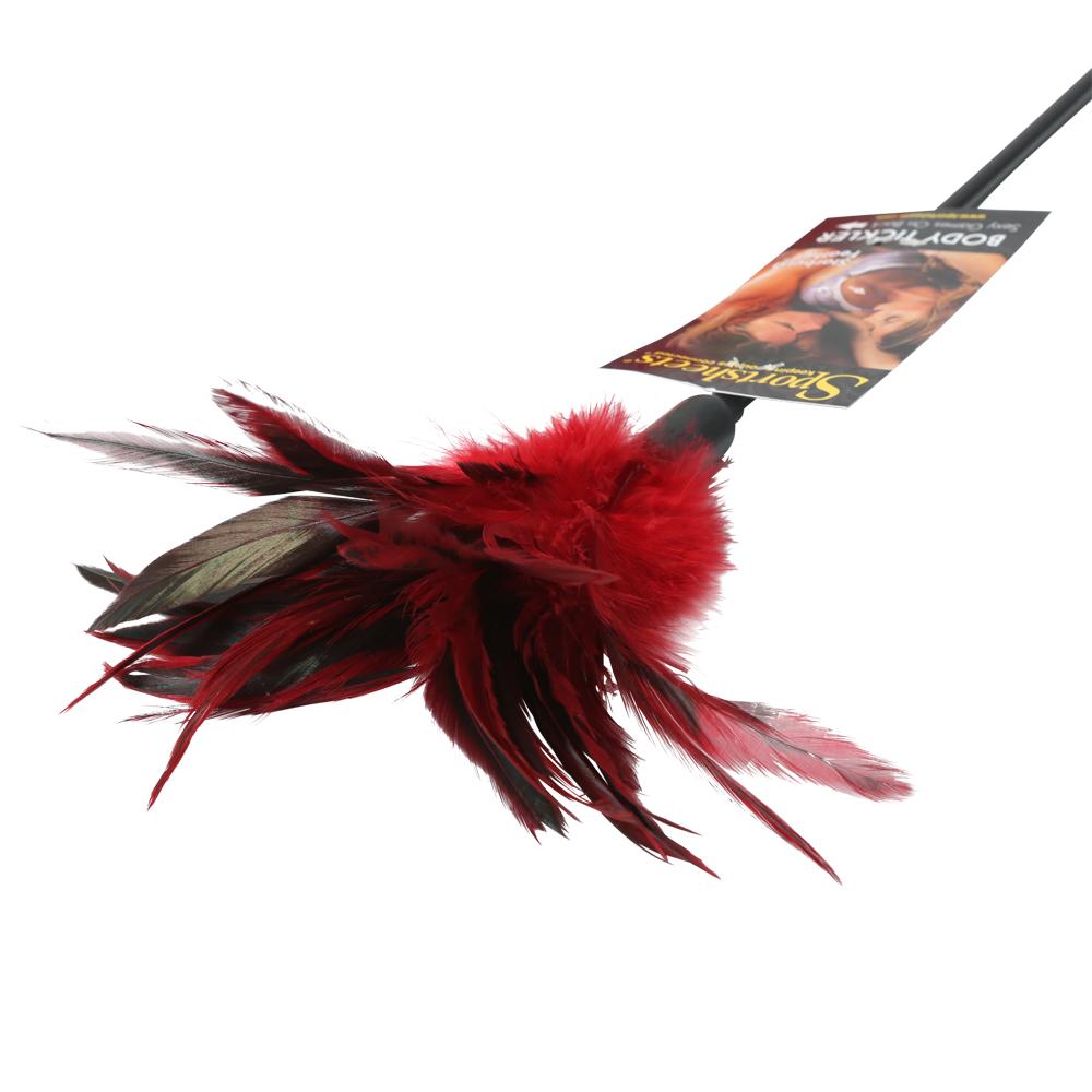 STARBURST FEATHER RED - SS72003
