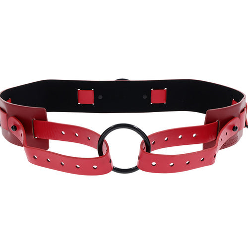 EX'S & OH'S BOUND & BELTED - SS09986
