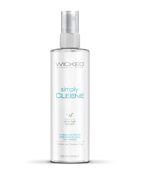 WICKED SIMPLY CLEENE 4 OZ TOY CLEANER - WIC91004