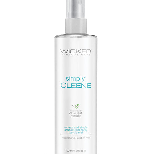 WICKED SIMPLY CLEENE 4 OZ TOY CLEANER - WIC91004