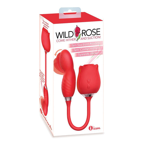 WILD ROSE COME HITHER - IB1707
