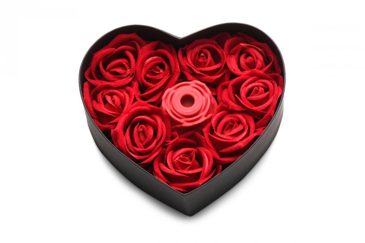 BLOOMGASM THE ROSE LOVERS G BOX RED - XRAH128