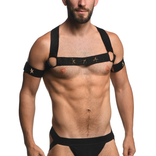 MASTER SERIES ELASTIC CHEST HARNESS W/ ARM BANDS L/XL - XRAH332LXL