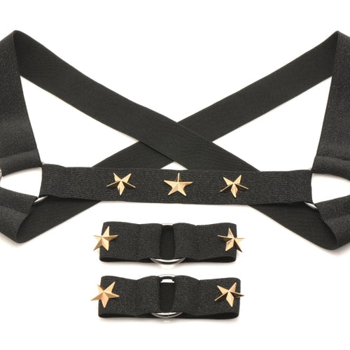 MASTER SERIES ELASTIC CHEST HARNESS W/ ARM BANDS S/M - XRAH332SM