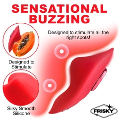 FRISKY LOVE CONNECTION PANTY VIBE W/ REMOTE - XRAH368