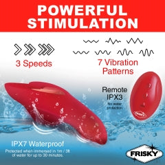 FRISKY LOVE CONNECTION PANTY VIBE W/ REMOTE - XRAH368