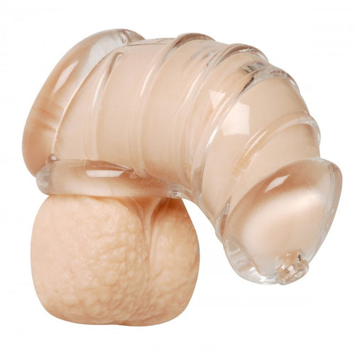 MASTER SERIES DETAINED CHASTITY CAGE - XRAE408