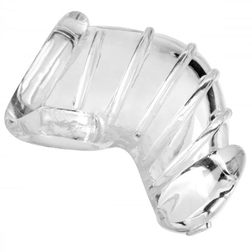 MASTER SERIES DETAINED CHASTITY CAGE - XRAE408
