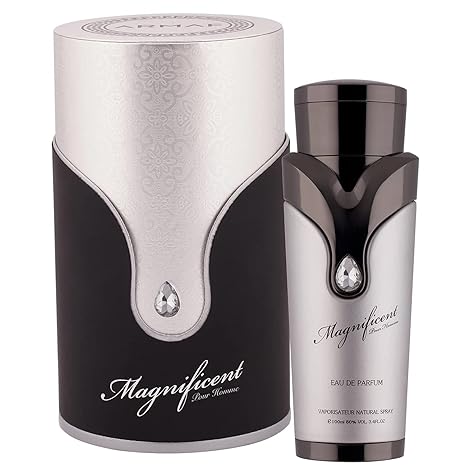 ARMAF MAGNIFICIENT 3.4OZ, MEN'S PERFUME, EDP-Pinkfoxxx