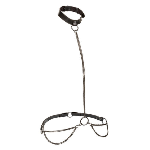 EUPHORIA CHAIN HALTER COLLAR & LEASH PLUS SIZE - SE310101